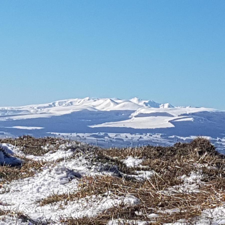 Sejour Au Coeur Des Volcans Saint-Ours  Exteriör bild